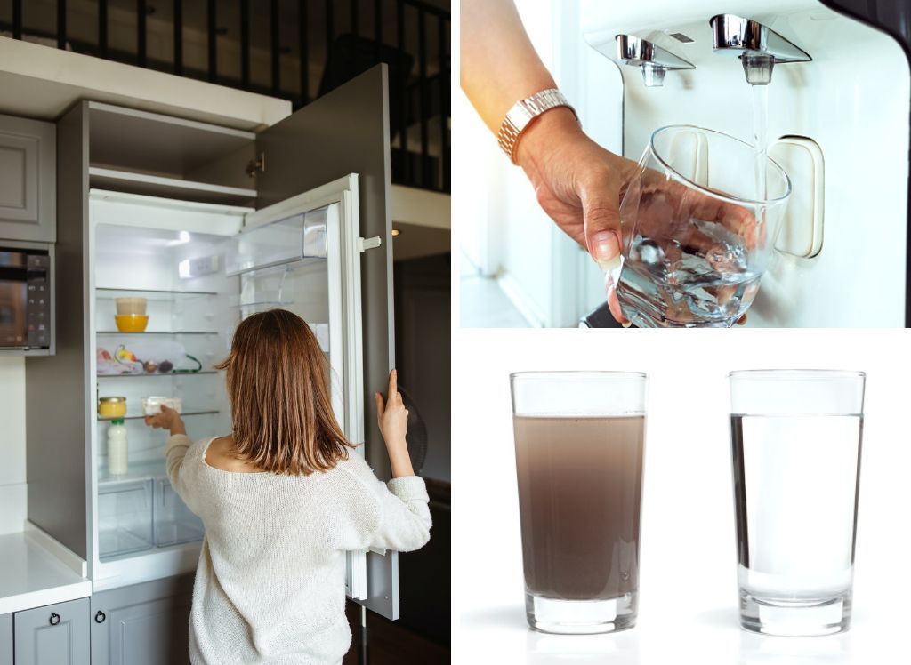 The Nasty Truth The Dangers of Not Changing Your Refrigerator Water