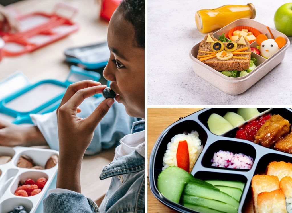 Best Bento Box for Kids: Our Top 5 Picks for Lunchtime fun!