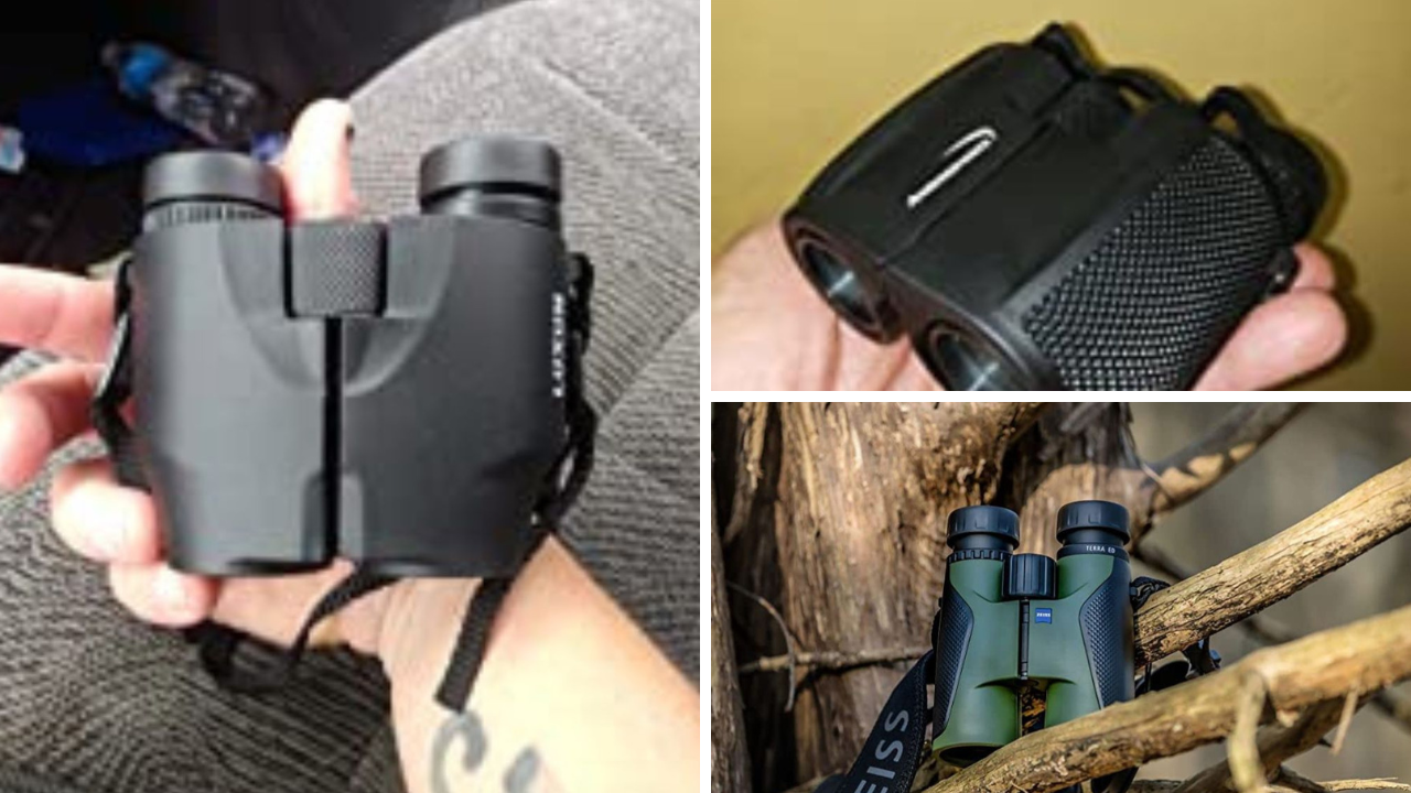 9 Best Travel Binoculars Is Sightseeing Even Better From Afar?