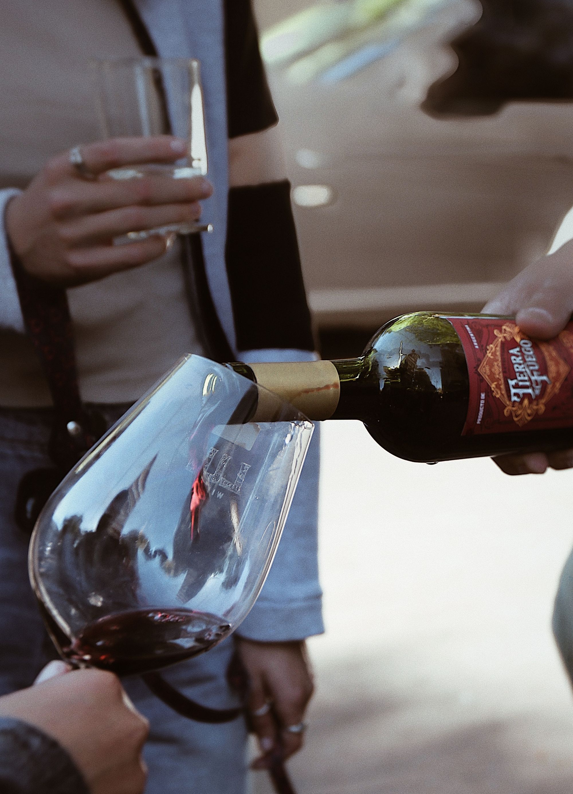 A bottle of red wine and a bottle of white wine in a wine cooler with a thermometer