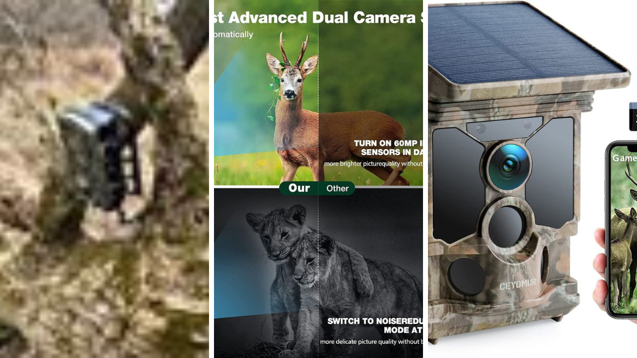 Hunt for the Best Bluetooth Trail Camera Exploring the Top 5