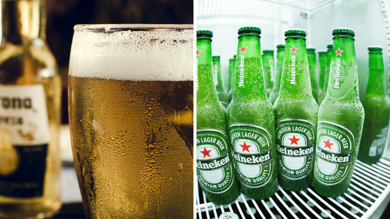 A Beer Fridge Review Guide to Help You Choose Your Frosty Sidekick